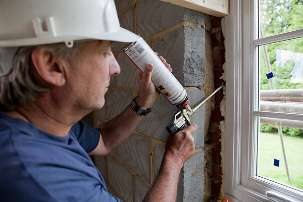 Best Types of Insulation in Walce Ridge, LA