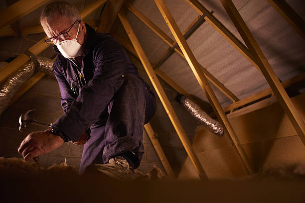 Best Insulation Maintenance and Repair in Walce Ridge, LA