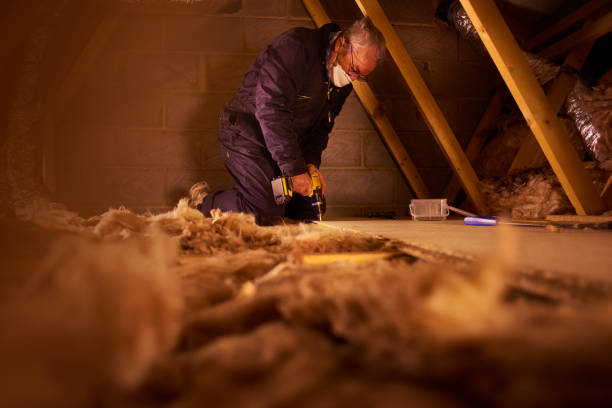 Best Insulation for Specific Applications in Walce Ridge, LA